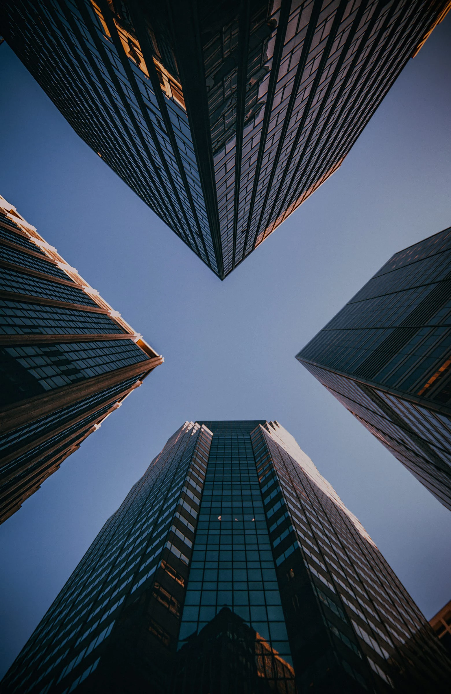 Investor Relations